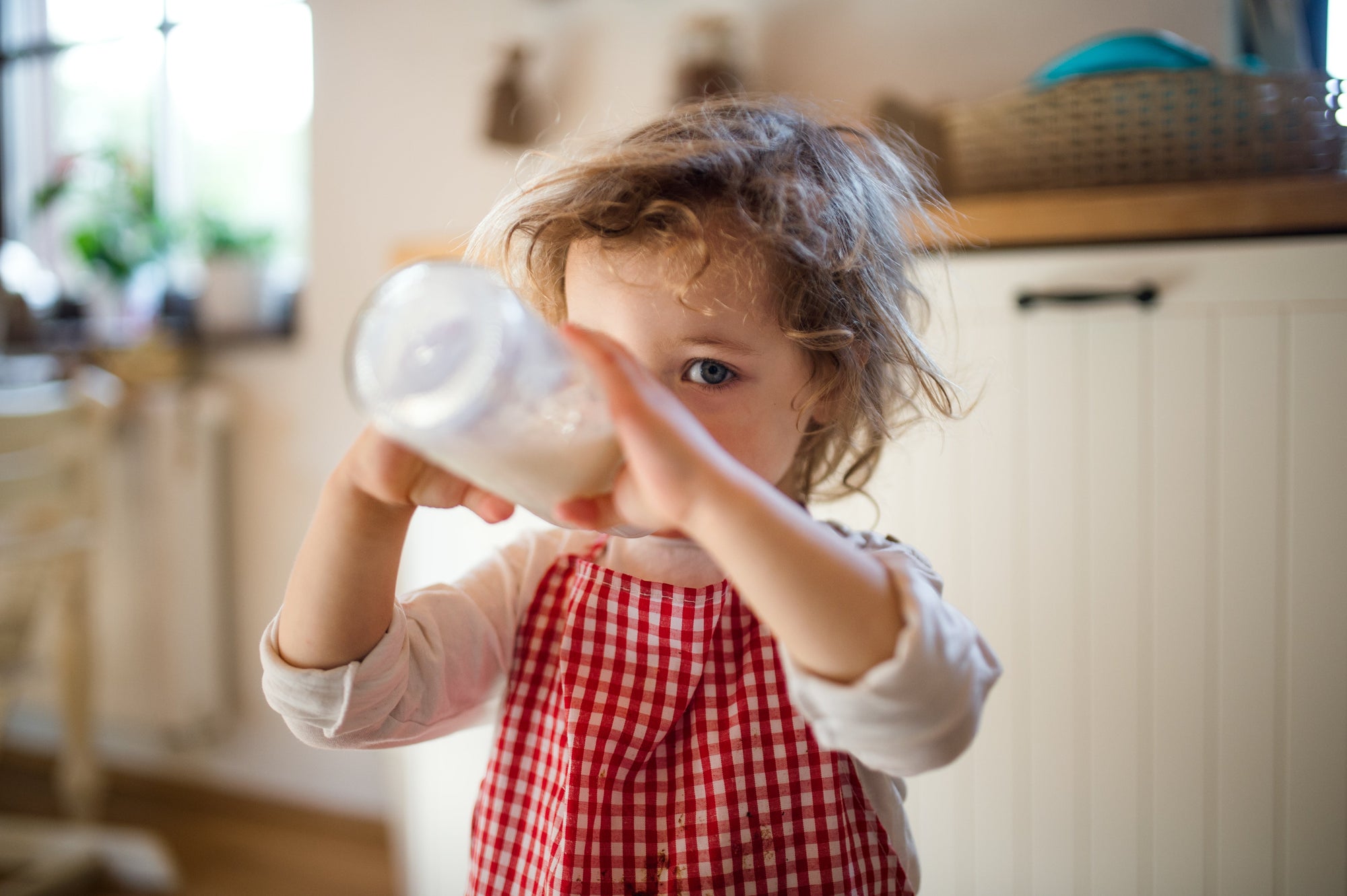 Beyond Infancy with Toddler Formula